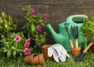 Categoría Jardineria